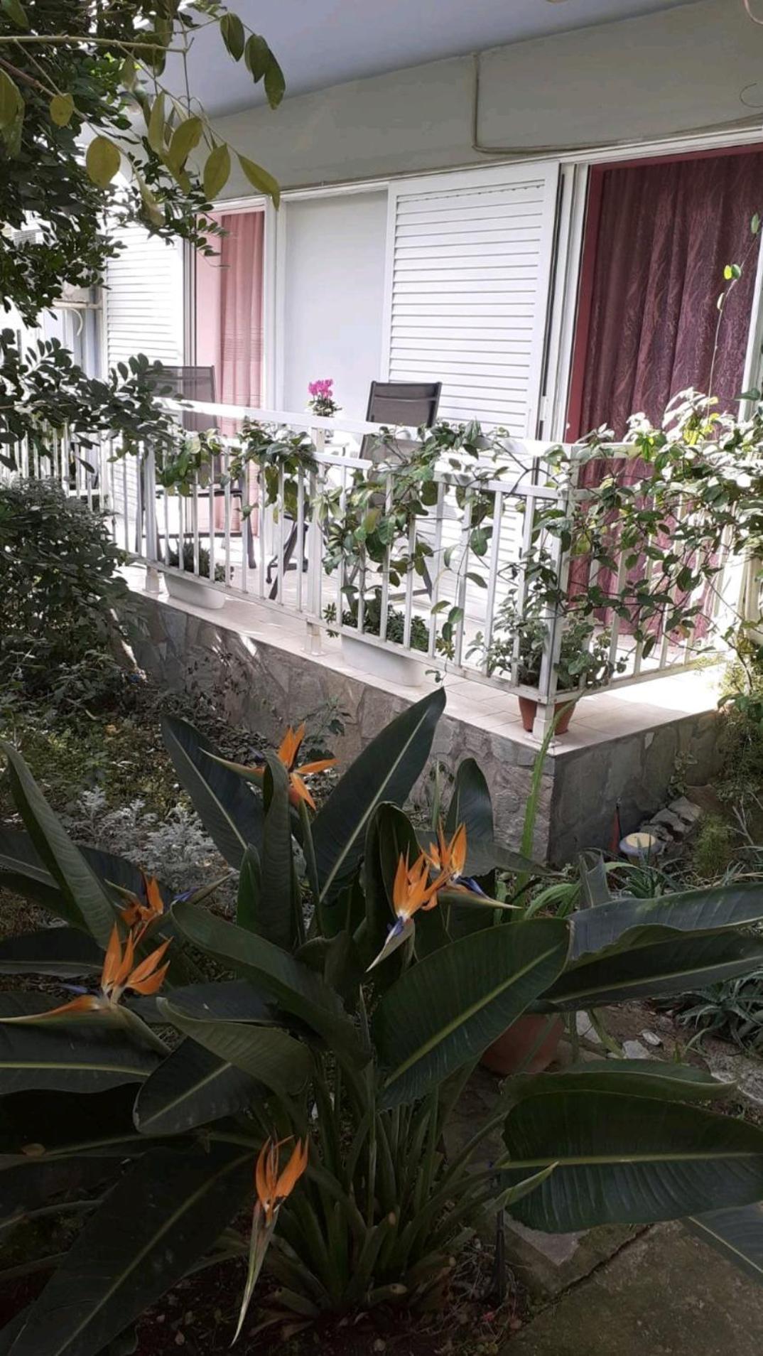 Dreamhouse Apartment Nafpaktos Екстериор снимка